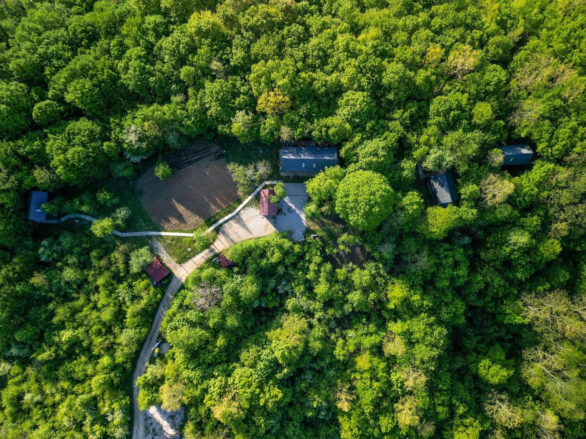 Tree Elements Treehouse Retreat Apartment Slunj Exterior photo